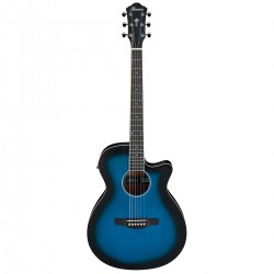 Ibanez Electroacustica AEG7-TBO