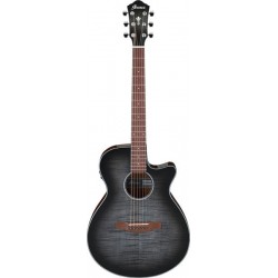 Ibanez AEG70-TCH