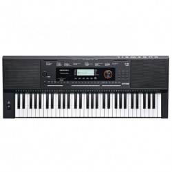 KP110 Kurzweil