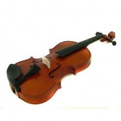 Violino Kreutzer School